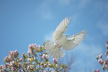 Embrace the Joyful Messages from the Holy Spirit Today, January 30, 2026, and Shine Bright with Positivity!