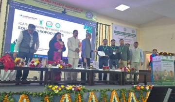 Assam Agricultural University’s entomology team celebrated for their amazing research on soil pests – a fantastic achievement for the university!