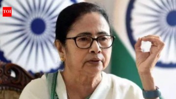 Mamata Banerjee expresses concerns over budget allocations and takes a stand by challenging the Election Commission in the Supreme Court with determination!