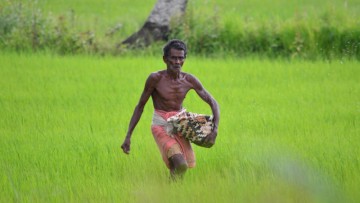 Government launches soil-health card program offering three-year complimentary services to empower farmers and improve yields