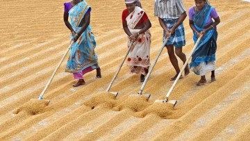 Industry strategies to raise consumer awareness about fortified foods and improve nutritional outcomes across populations