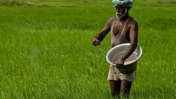 Budget 2026 elevates fertiliser self-reliance, strengthening national resilience and strategic agricultural resource management policy framework.