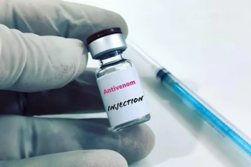 Nigeria reports forty-three thousand annual snakebite incidents; calls for expanded antivenom production and hospital distribution.