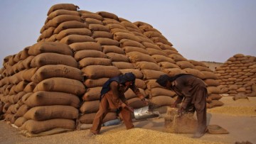 Collaborative Efforts Can Enhance India’s Agricultural Export Potential to $100 Billion by 2025.