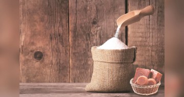 India exports over 201,000 tonnes of sugar until February in the FY26 marketing year.