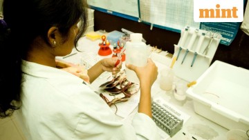 India implements stringent regulations to enhance safety and integrity in blood donation practices.