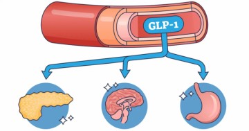 GLP-1 receptor medications effectively address both obesity and substance use disorders in individuals.