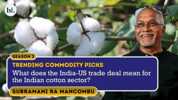 Analyzing the India-US trade deal's impact on the Indian cotton and textile industries.