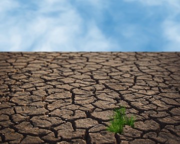 Urgent action needed to prevent climate change-related hunger affecting 1.1 billion people by 2100.