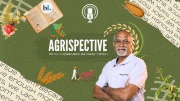 Exploring India's Micro Irrigation Coverage: Opportunities for Growth and Productivity in Agriculture
