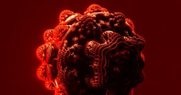 Engineered bacteria show promise in targeting and eliminating tumors effectively from within.