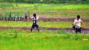 Government Approves Doubling Credit Target for Agriculture Infrastructure Fund by Mid-April Completion.