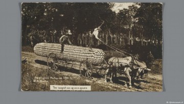 Exploring the impact of AI-generated imagery and the history of fake photo technology.