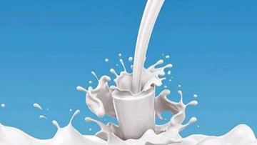 Exploring the potential of Indian dairy industry without increasing milk production volumes significantly.