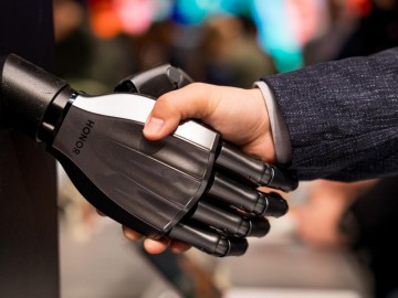 Collaboration Emerges in Debates Regarding Strategies for Artificial General Intelligence Development