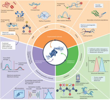 Developing a Cohesive Framework for Analyzing the Ensembles of Disordered Proteins Effectively