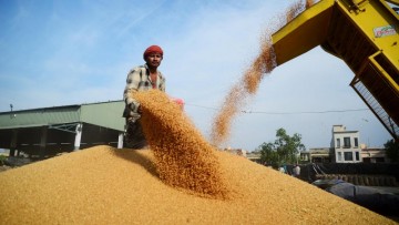 Centre increases commission for Arthiyas in Punjab and Haryana, boosting wheat procurement efforts.