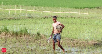 West Asia turmoil to swell fertiliser subsidy by up to Rs 25,000 Crore, hit output: Crisil Ratings