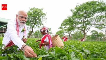 Prime Minister Modi explores Assam tea gardens, engages with workers, and describes the visit as.