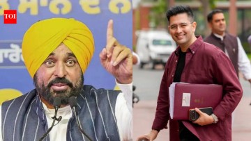 Punjab CM Bhagwant Mann Criticizes AAP's Rajya Sabha Move, Claims Raghav Chadha is Compromised.