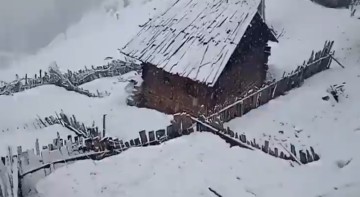 Fresh Spell Of Snow In Higher Reaches Of Kashmir, Plains Receive Showers