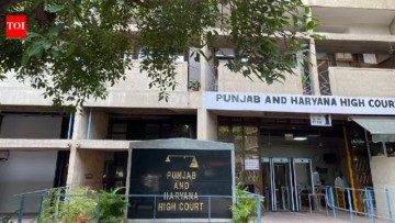 Punjab and Haryana high court bars AI use in judgments, legal research; warns of strict action