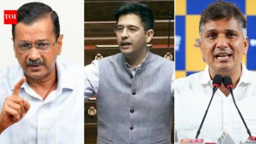 Z Security, ED raids: AAPs face-off with Raghav Chadha turns ugly; BJP moves on