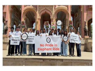 World Animal Protection Calls for End to Elephant Rides Everywhere on Occasion of Save The Elephant Day