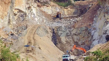 Karbi Anglong loses 12% forest cover between 2001-2020: Satellite study