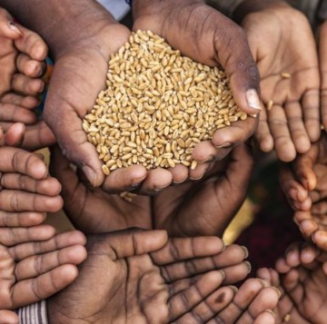 Report flags Bangladesh among top 10 food crisis-hit nations