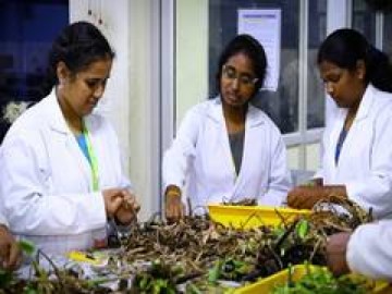 From weed to wonder: Tiruchirappalli ecologist turns water hyacinth into sustainable packaging paper