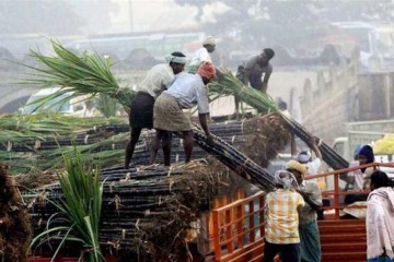 India Sugar Exports Forecast at 7.5-8 Lakh Tonnes
