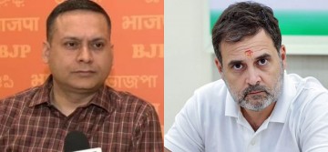 BJP questions funding of Rahul Gandhi's 54 foreign trips