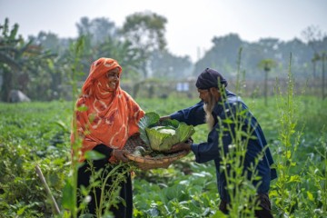 Building Resilient Food Systems in an Age of Disruption