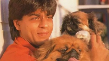 Why SRK dug up dog's grave at 2 AM and brought the body home