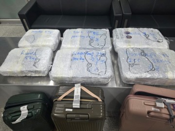 Customs seize hydroponic weed worth Rs 48 crore at IGI Airport, two Thai nationals held