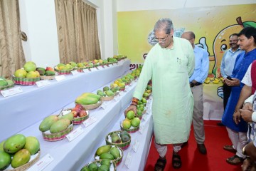 Odisha mangoes need unique identity: DY CM