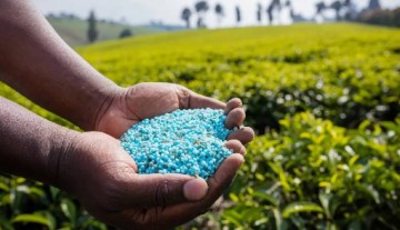 India's Fertiliser Stocks Sufficient To Meet Farmers Needs: Govt