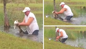 Florida Man Wrestles Alligator To Save Puppy While Cigar Stays Clenched In Jaw During Shocking Attack