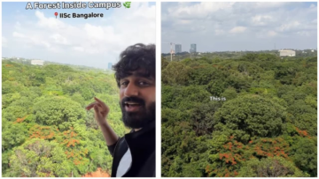 Man Shows Breathtaking View Of Planted Urban Forest At IISc Bengaluru Campus, Internet Loves It
