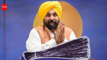 Bhagwant Mann video row: Accused received Rs 10 lakh from Punjab officials to fabricate clip, cops say