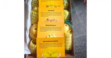 BJP Nitin Nabin gifts four varieties of Indian mangoes to foreign envoys, echoes ;Vasudhaiva Kutumbakam;