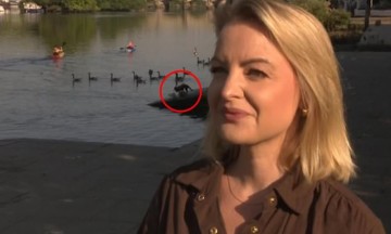 Moment Interview on Pet Safety Interrupted by Dog