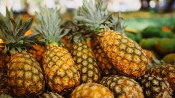 Delhi to host India's first Global Pineapple Festival -- dates, time, venue, entry fee, other details here