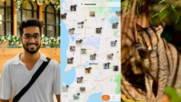 Meet the IITian behind Meowmbai: How a 25-year-old built Mumbai's viral cat map