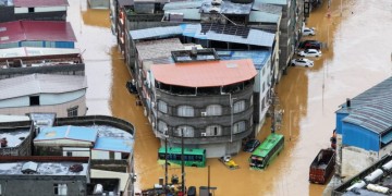 Alpacas, mini pigs on the loose after floods hit south China zoo