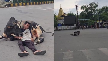 Man sleeps peacefully on bull's belly in the middle of busy road, Internet says : 'Pure desi'