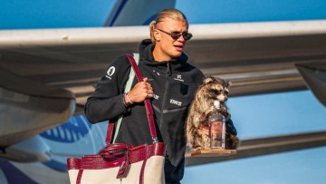 Erling Haaland returns home with Rs 72,000 Whiskey Raccoon: It followed me home