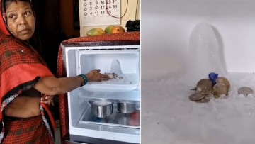 Viral Video: Agra Family Finds Shivling-Shaped Ice in Fridge, Devotees Gather as Internet Remains Divided