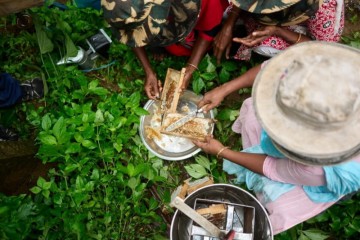 In southern India, beekeeping helps Indigenous women earn more